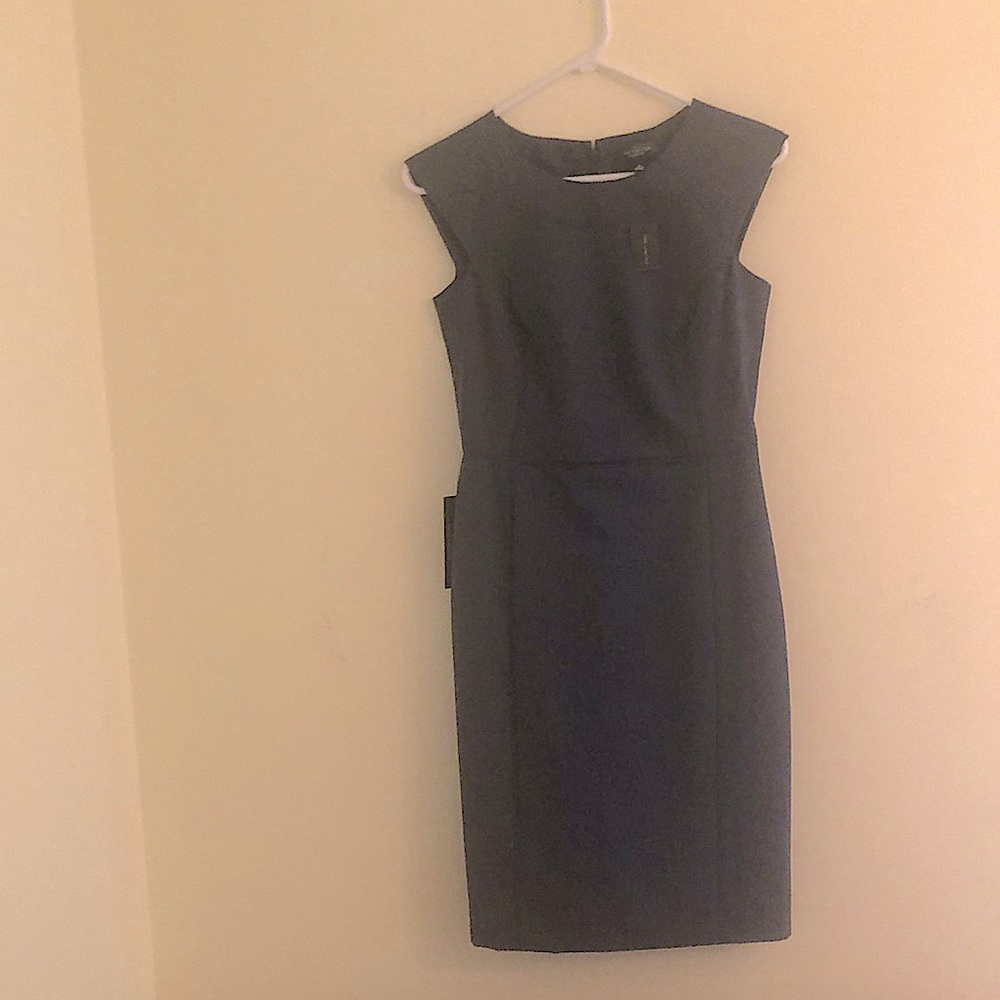 The Limited Women’s Dress